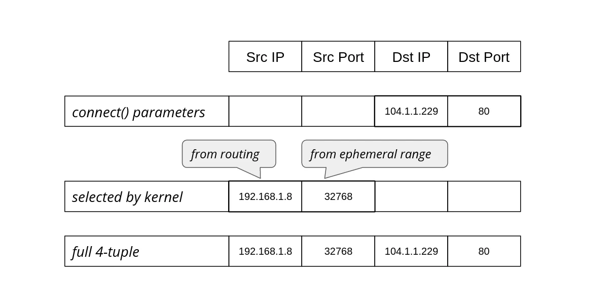 How to stop running out of ephemeral ports and start to love long-lived connections