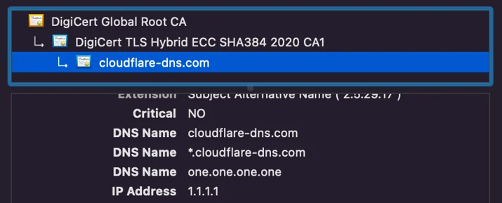SubjectAltName list of the one.one.one.one certificate