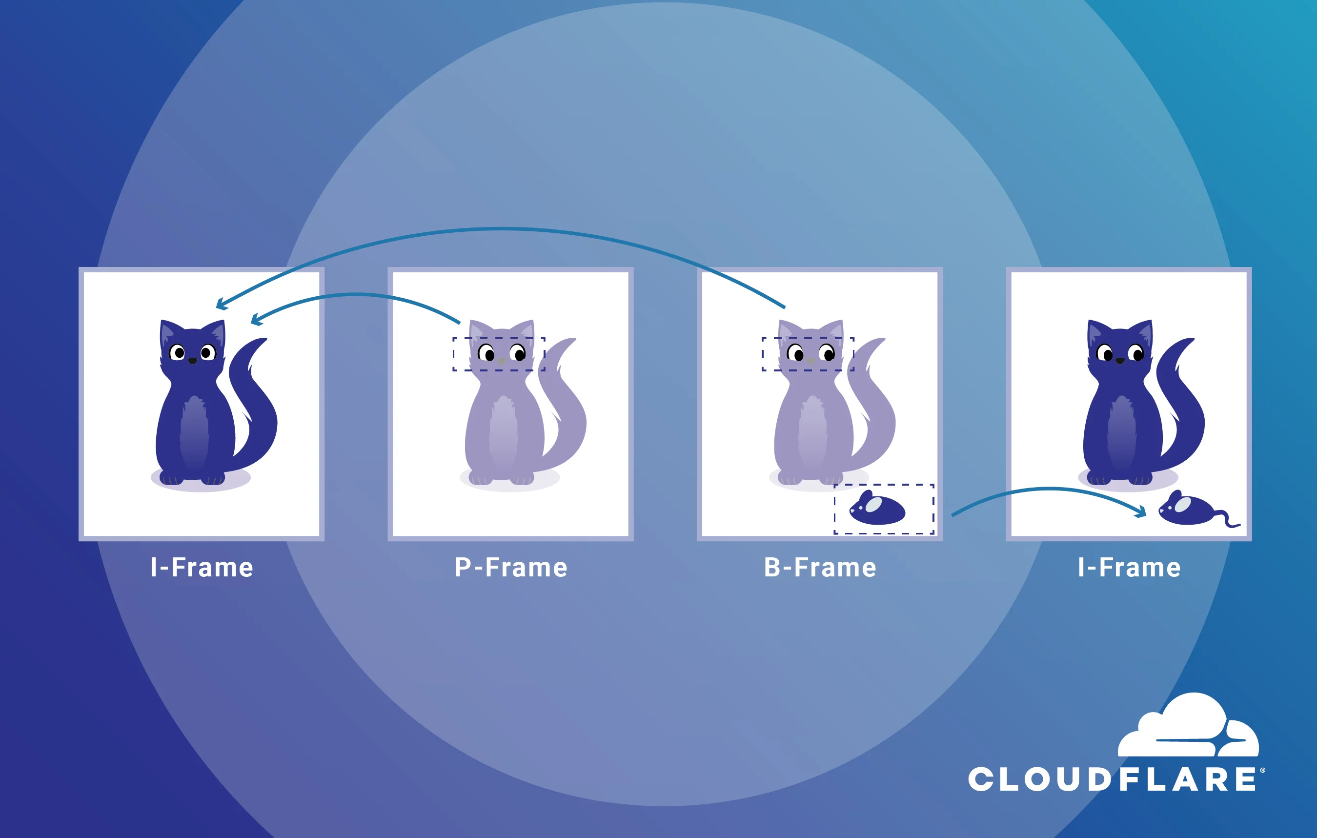 Making Video Intuitive: An Explainer