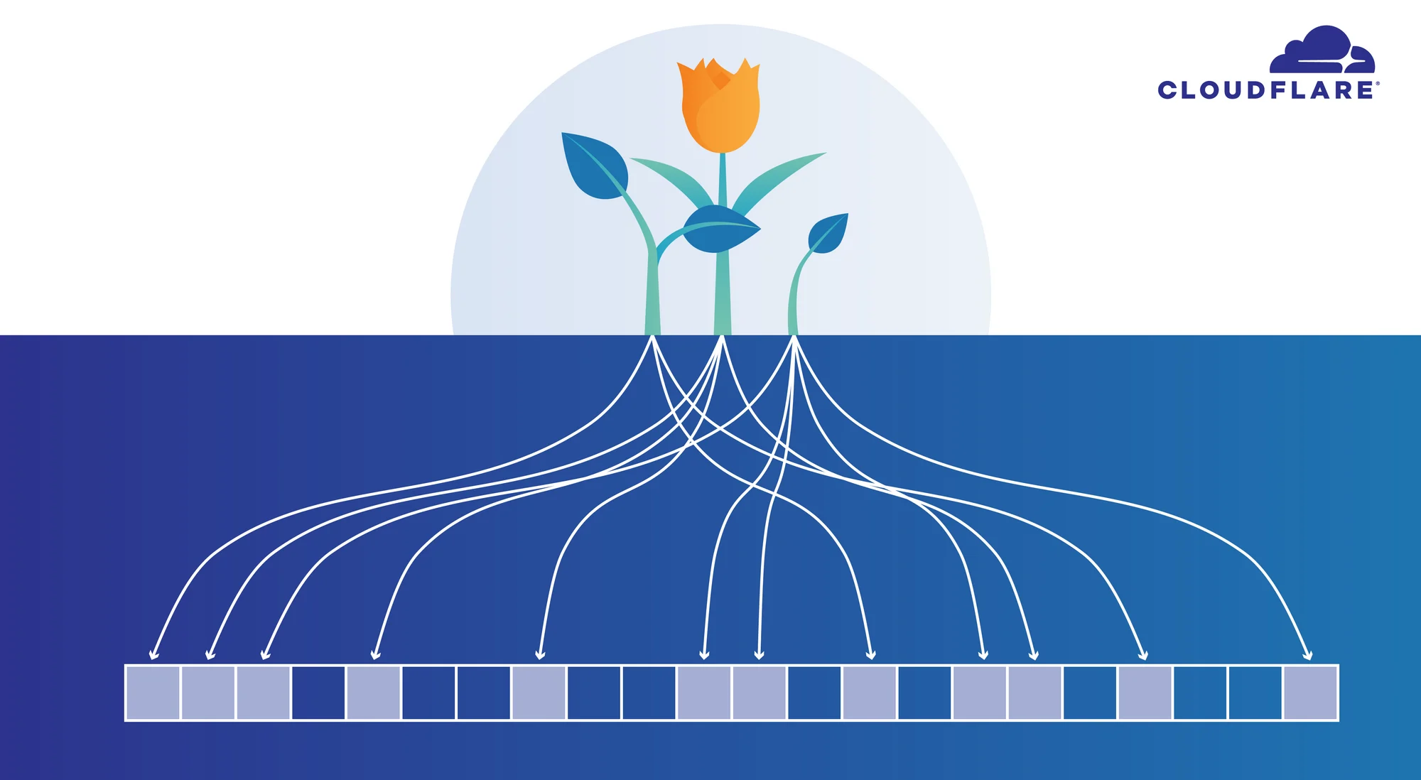 bloom-filter@2x